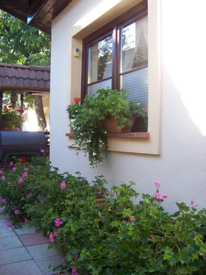 Pensiunea Casa Alba Ghimbav Ngoại thất bức ảnh